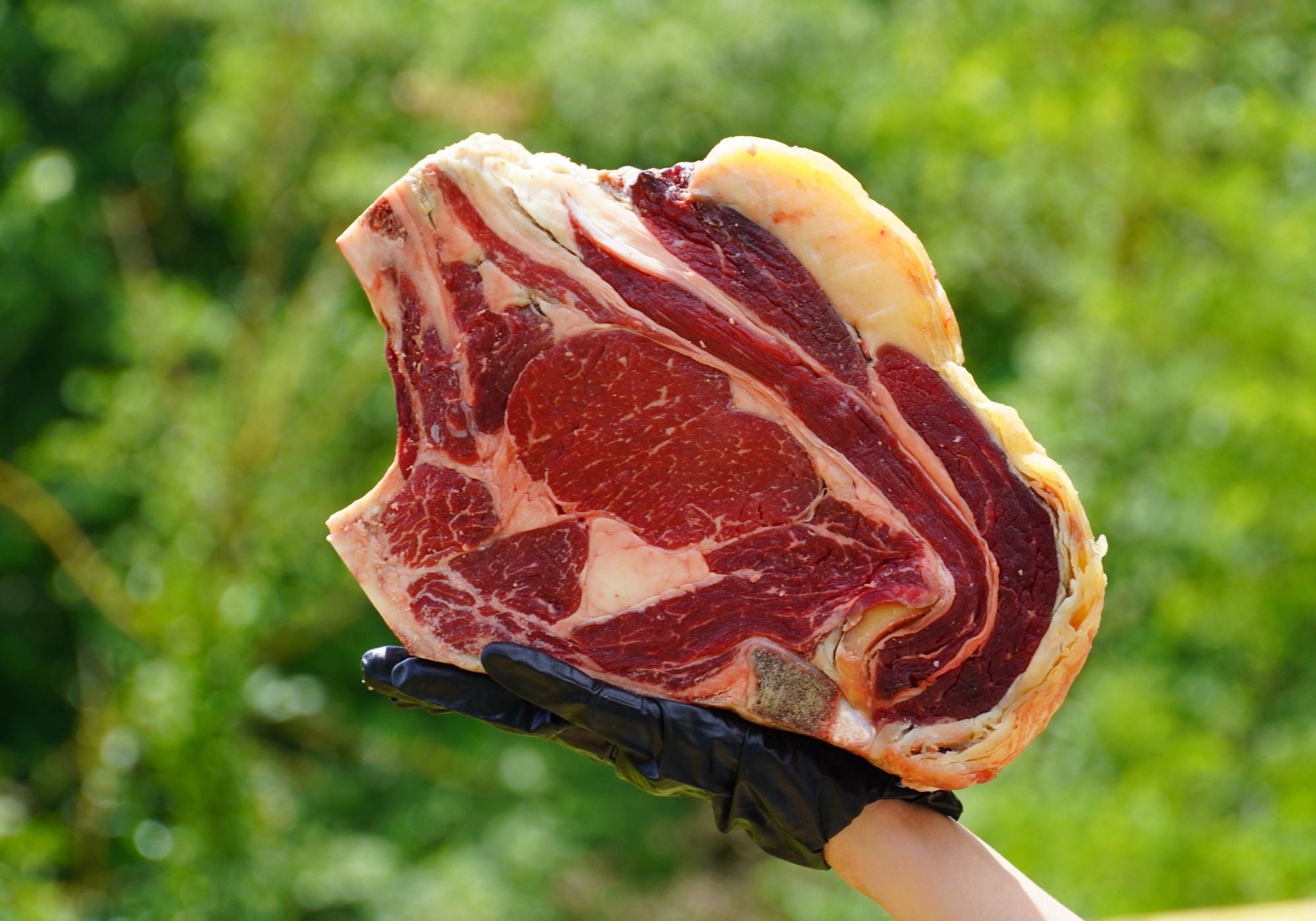 Chuletón de parte alta de vaca - Selection